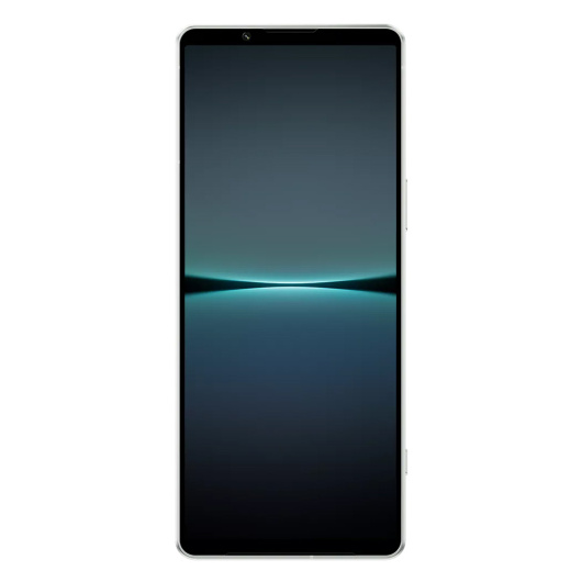 Sony Xperia 1 IV 12/256Gb Global Белый