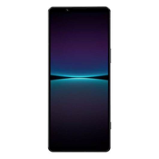 Sony Xperia 1 IV 12/512Gb Global Черный